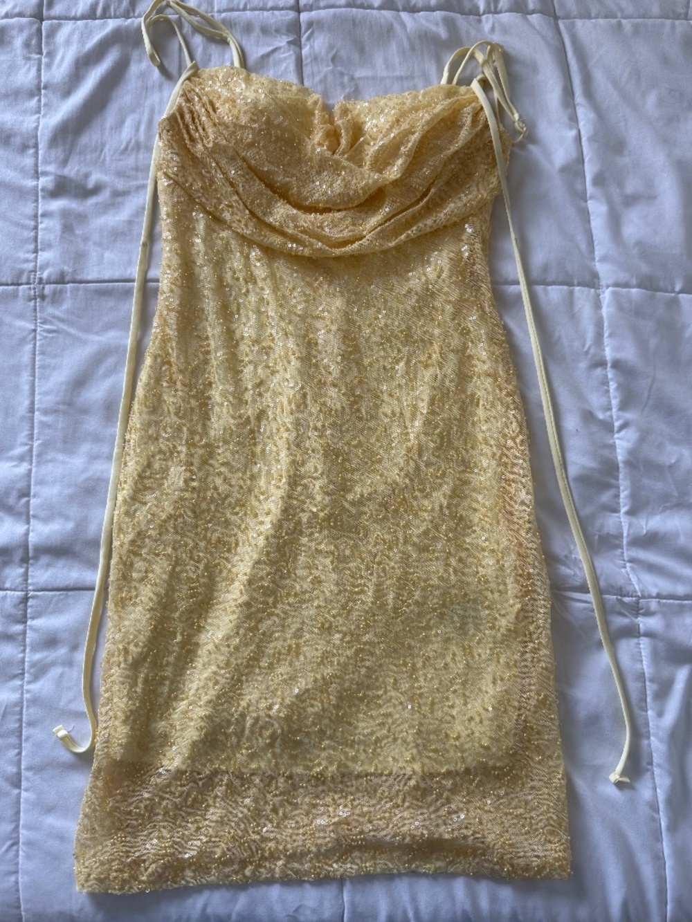 Windsor - Deidra Sleeveless Beaded Bodycon Mini Dress